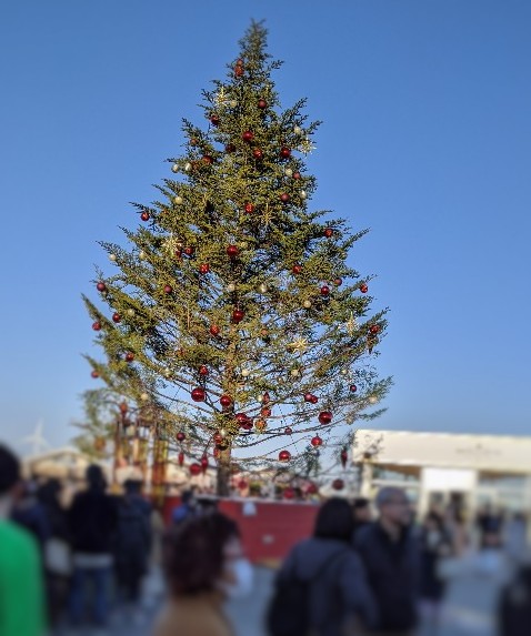 クリスマスツリー＠赤レンガ倉庫